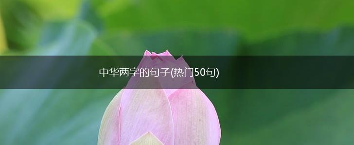 中华两字的句子(热门50句),第1张