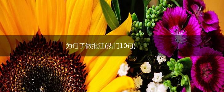 为句子做批注(热门10句),第1张