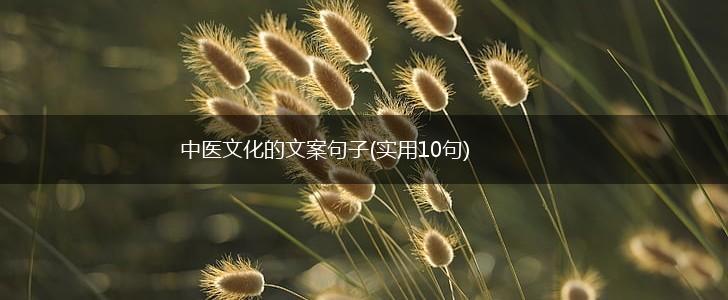 中医文化的文案句子(实用10句),第1张