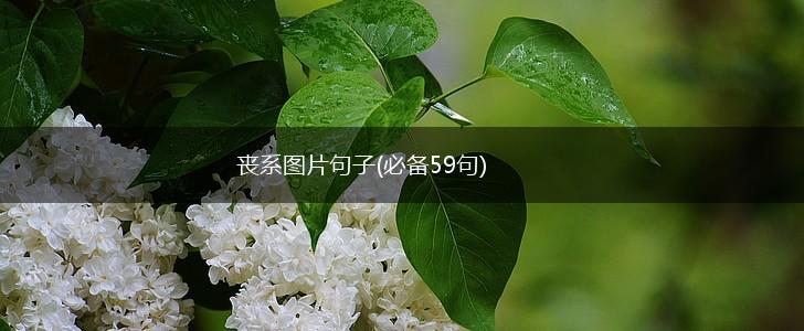 丧系图片句子(必备59句),第1张