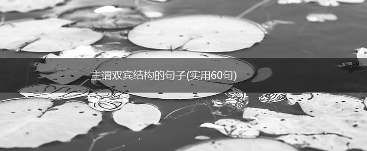 主谓双宾结构的句子(实用60句),第1张