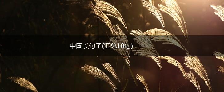 中国长句子(汇总10句),第1张