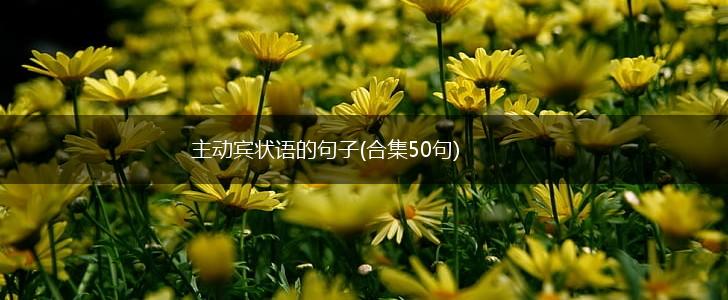 主动宾状语的句子(合集50句),第1张