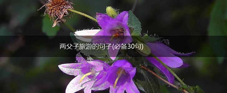 两父子旅游的句子(必备30句),第1张