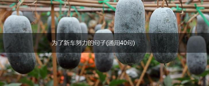 为了新车努力的句子(通用40句),第1张
