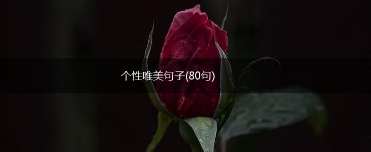 个性唯美句子(80句),第1张