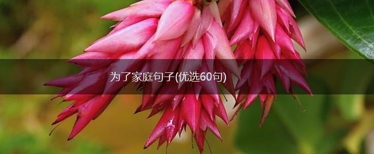 为了家庭句子(优选60句),第1张