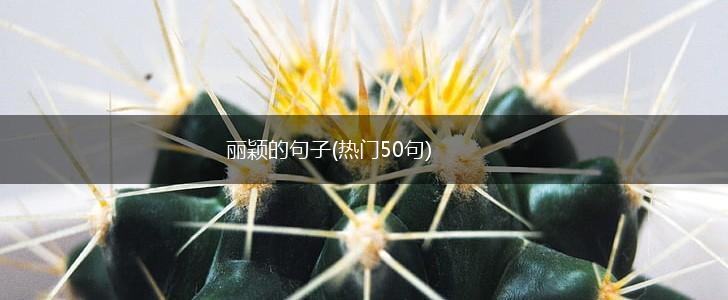 丽颖的句子(热门50句),第1张