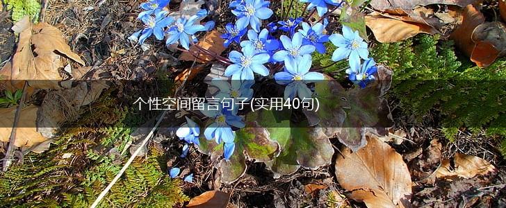 个性空间留言句子(实用40句),第1张