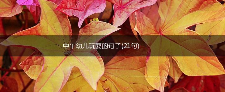 中午幼儿玩耍的句子(21句),第1张