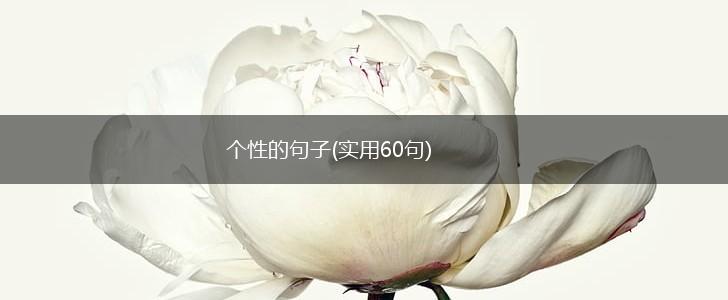 个性的句子(实用60句),第1张