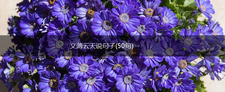 义薄云天说句子(50句),第1张