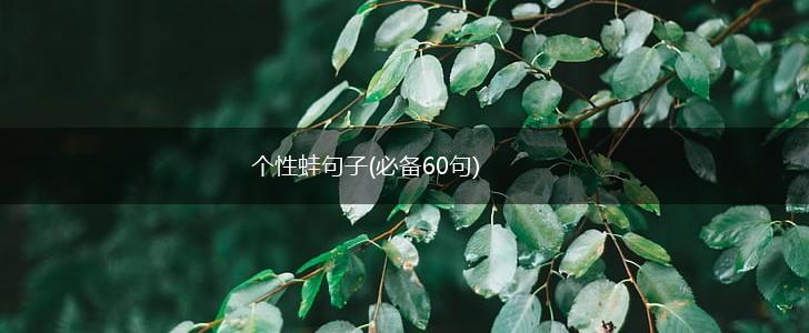 个性蛙句子(必备60句),第1张