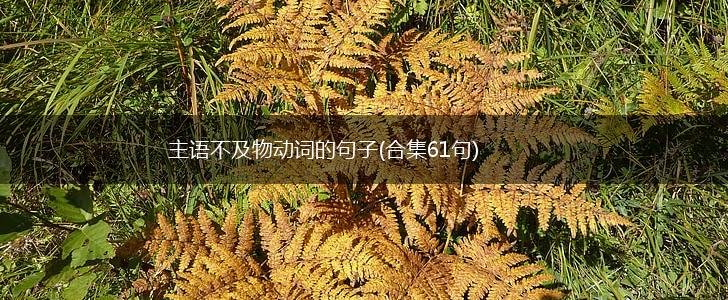 主语不及物动词的句子(合集61句),第1张