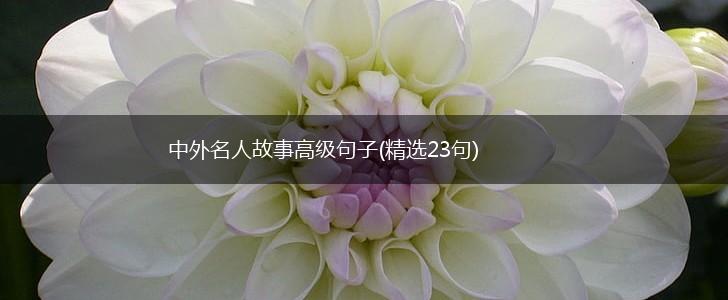 中外名人故事高级句子(精选23句),第1张