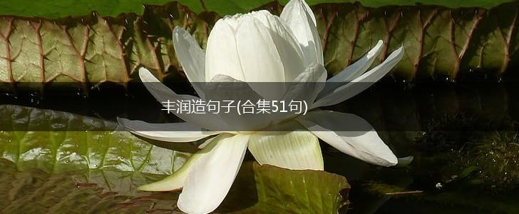 丰润造句子(合集51句),第1张