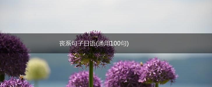 丧系句子日语(通用100句),第1张