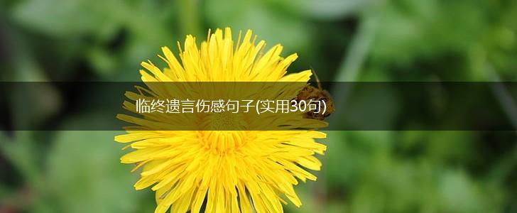 临终遗言伤感句子(实用30句),第1张