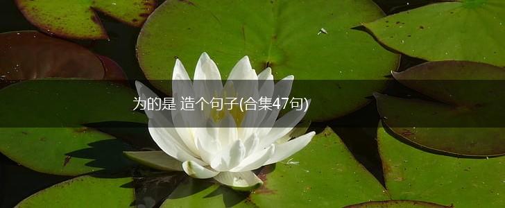 为的是 造个句子(合集47句),第1张