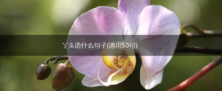 丫头造什么句子(通用50句),第1张