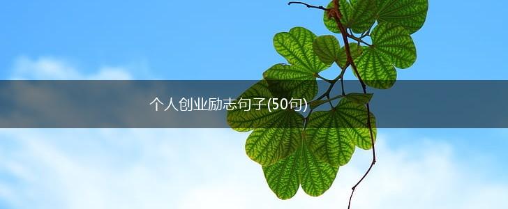个人创业励志句子(50句),第1张
