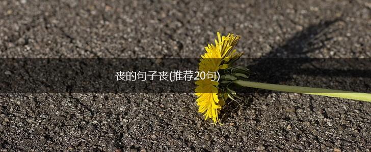丧的句子丧(推荐20句),第1张