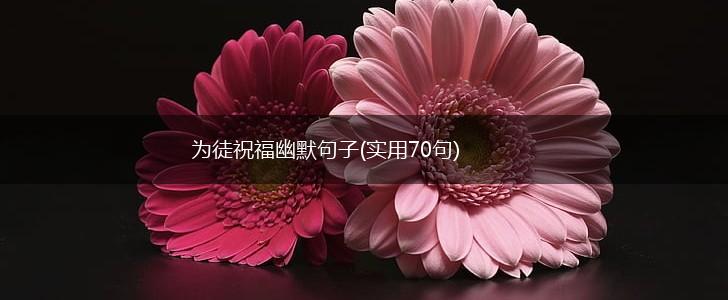 为徒祝福幽默句子(实用70句),第1张