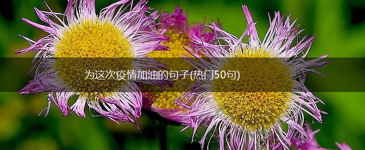 为这次疫情加油的句子(热门50句),第1张