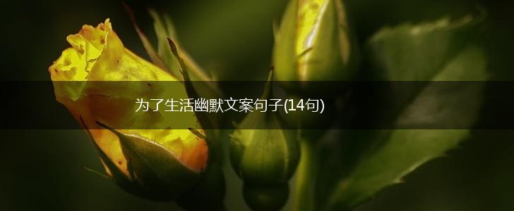 为了生活幽默文案句子(14句),第1张