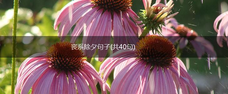 丧系除夕句子(共40句),第1张