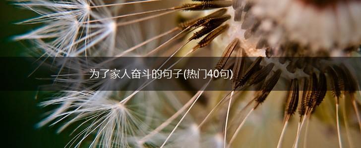 为了家人奋斗的句子(热门40句),第1张