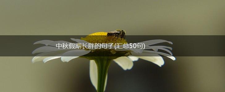 中秋假期长胖的句子(汇总50句),第1张