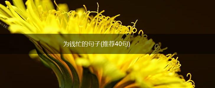 为钱忙的句子(推荐40句),第1张