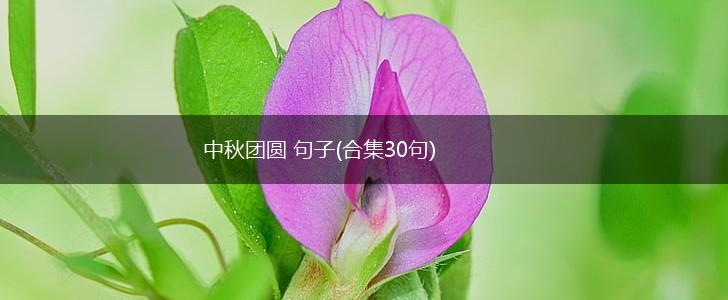 中秋团圆 句子(合集30句),第1张