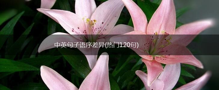 中英句子语序差异(热门120句),第1张