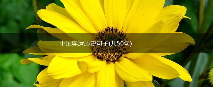 中国奥运历史句子(共50句),第1张