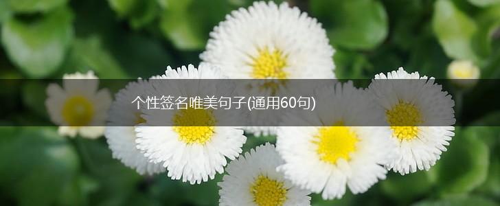 个性签名唯美句子(通用60句),第1张