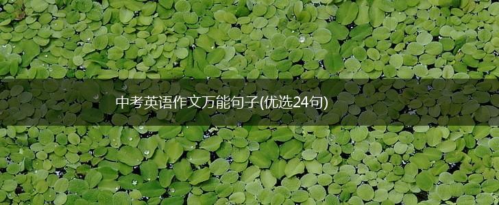 中考英语作文万能句子(优选24句),第1张