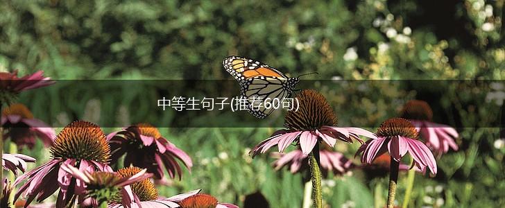 中等生句子(推荐60句),第1张