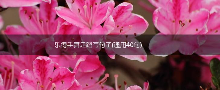 乐得手舞足蹈写句子(通用40句),第1张