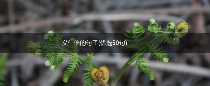 义仁信的句子(优选50句),第1张