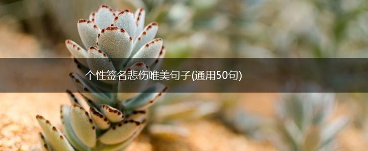 个性签名悲伤唯美句子(通用50句),第1张
