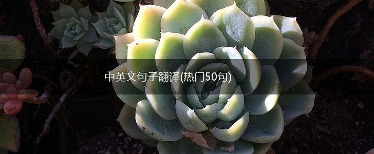 中英文句子翻译(热门50句),第1张