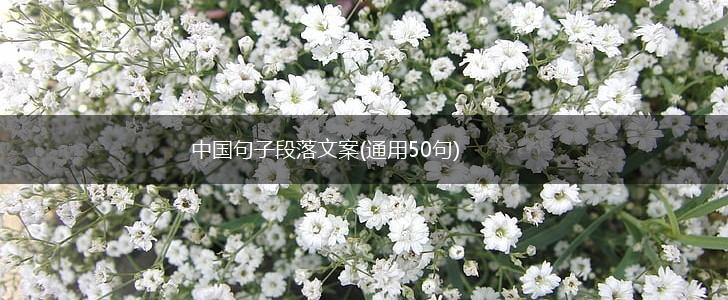 中国句子段落文案(通用50句),第1张