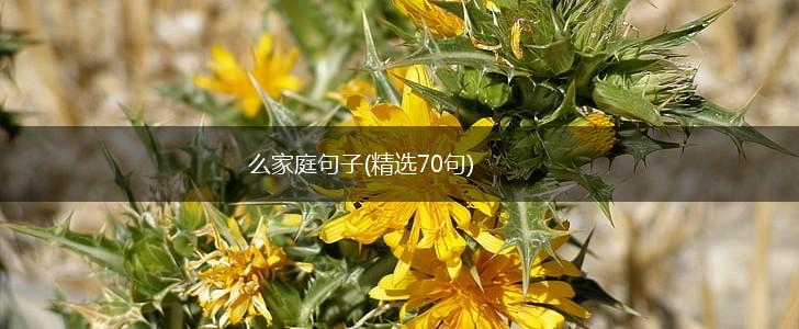么家庭句子(精选70句),第1张