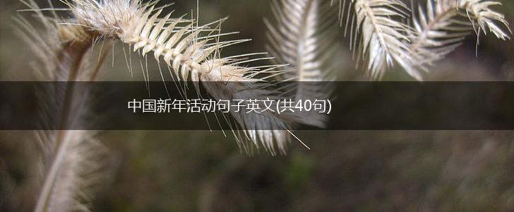 中国新年活动句子英文(共40句),第1张