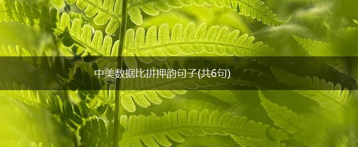 中美数据比拼押韵句子(共6句),第1张