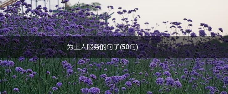 为主人服务的句子(50句),第1张