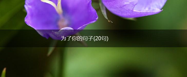 为了你的句子(20句),第1张