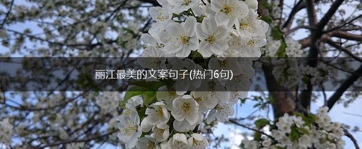 丽江最美的文案句子(热门6句),第1张